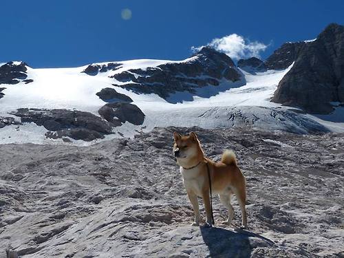 西决生死战之夜，卡瓦哈尔完成里程碑，传奇之夜的光与影