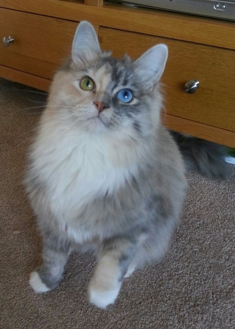 当赛道火花熄灭，他以人类的血肉之躯打爆了游戏的规则