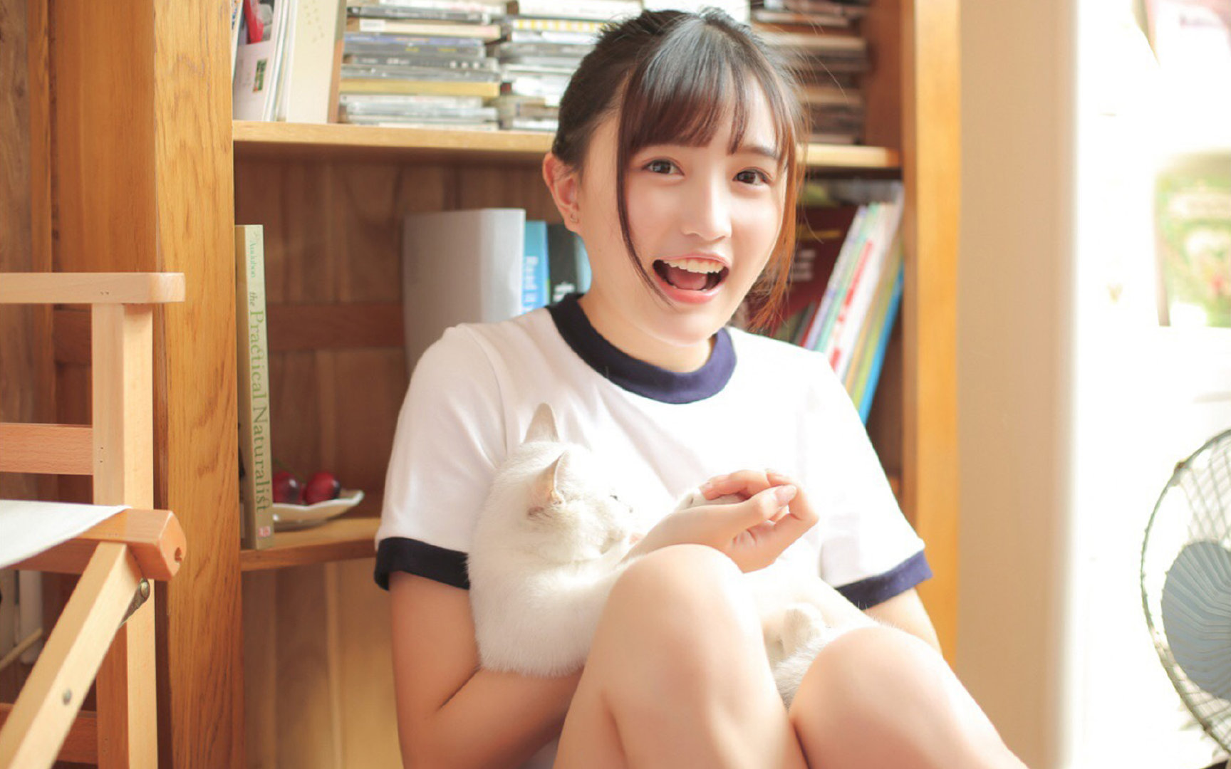 世俱杯时间-冰岛连续得分显神威，压制几内亚晋级美加墨世界杯焦点战