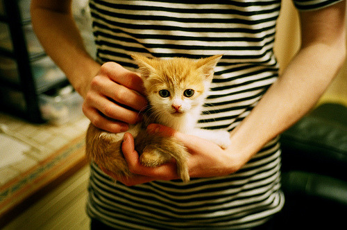 世俱杯赛程-西亚卡姆一手掌控比赛走势，步行者客场力克奇才显统治力