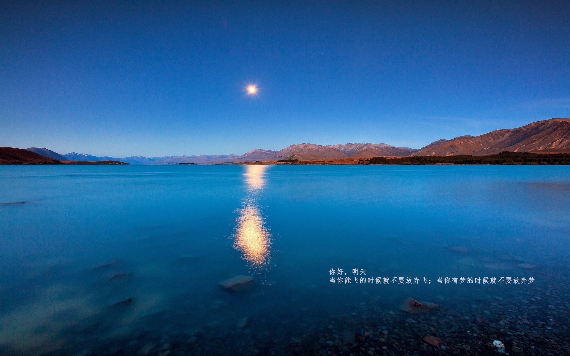 世俱杯参赛资格-欧冠夜基耶萨一剑封喉，雷恩客场力克皇家社会突围关键战