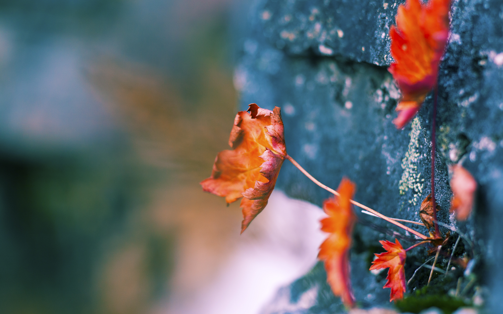 加时鏖战，深圳队力克辽宁！恩比德化身关键先生