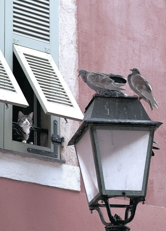 世俱杯2025-鏖战之夜，霍勒迪关键表现助步行者力克黄蜂