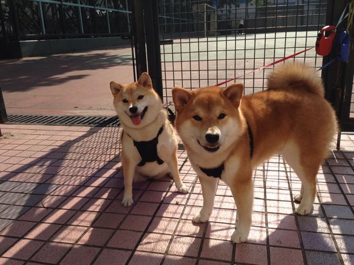 弑神之夜，欧文总决赛封神记