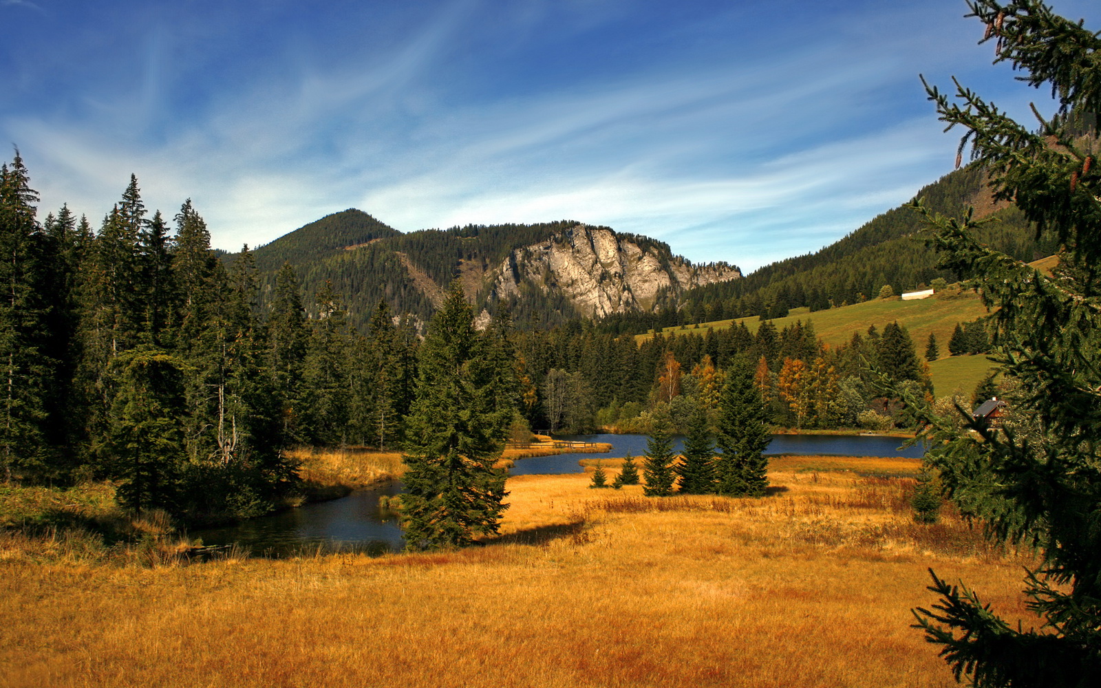 关键时刻的无声惊雷，武切维奇一球定江山，奇才撕裂猛龙防线