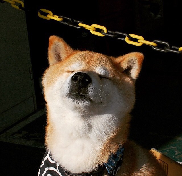 世俱杯2025-奥运周期关键战焦点战，快船淘汰森林狼的深远影响