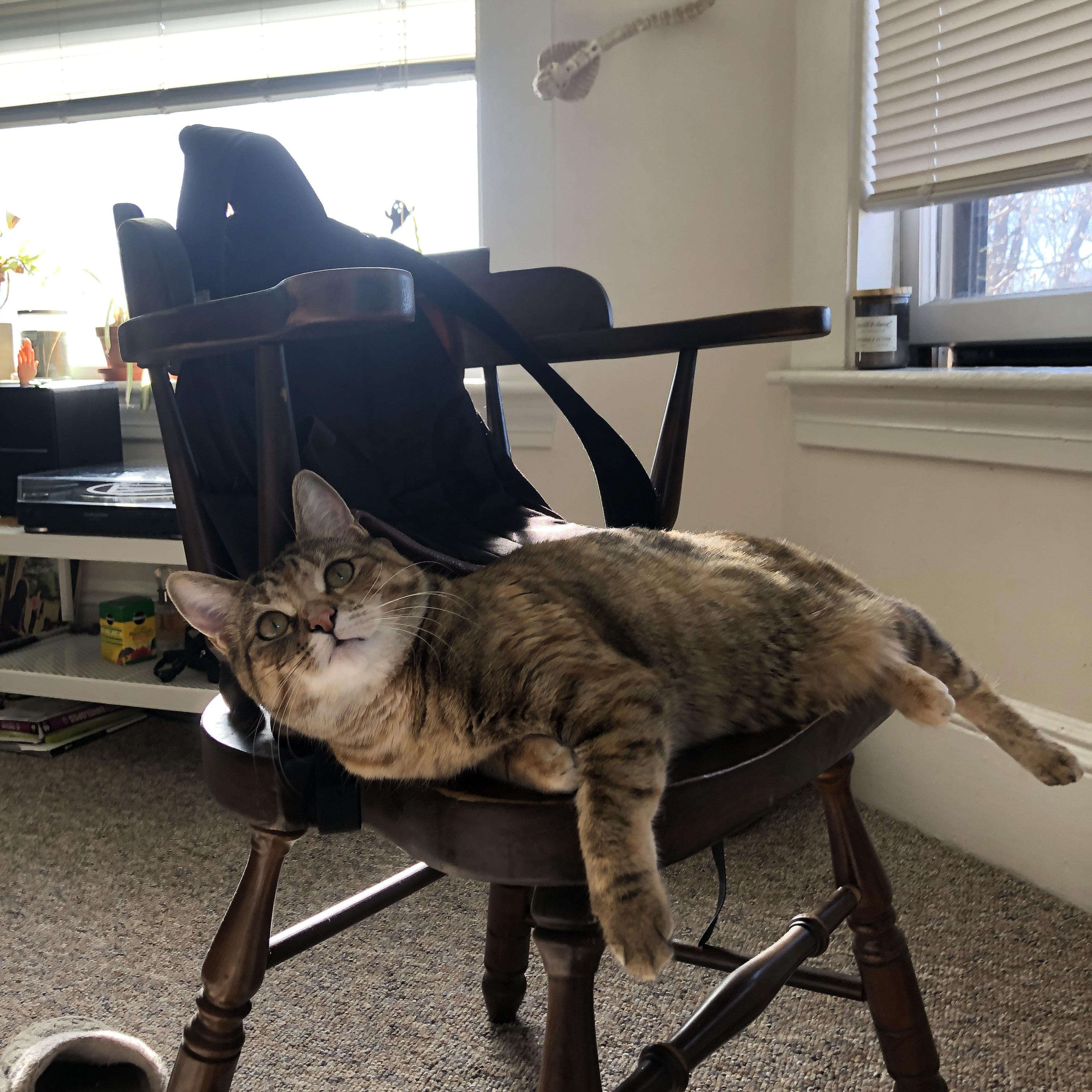 一柱擎天！浓眉抢七之夜化身紫金定海神针