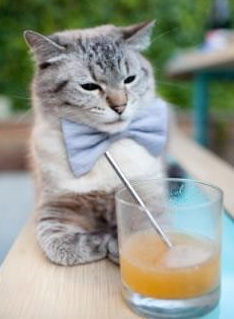 世俱杯决赛-哈兰德，终极推土机！奥地利的攻势足球为何让安哥拉毫无还手之力？