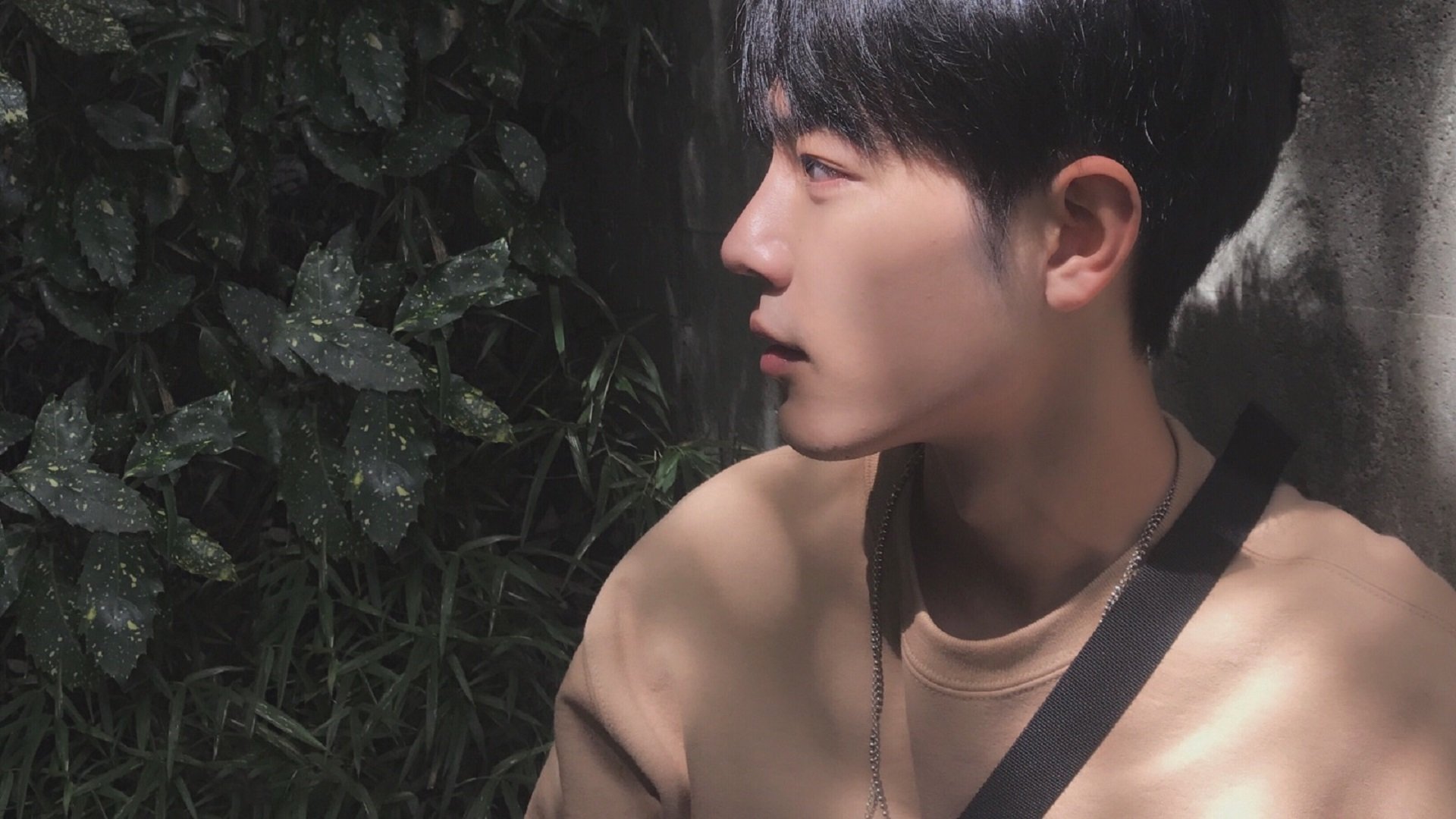 加时鏖战，字母哥关键先生显神威，黄蜂力克奇才