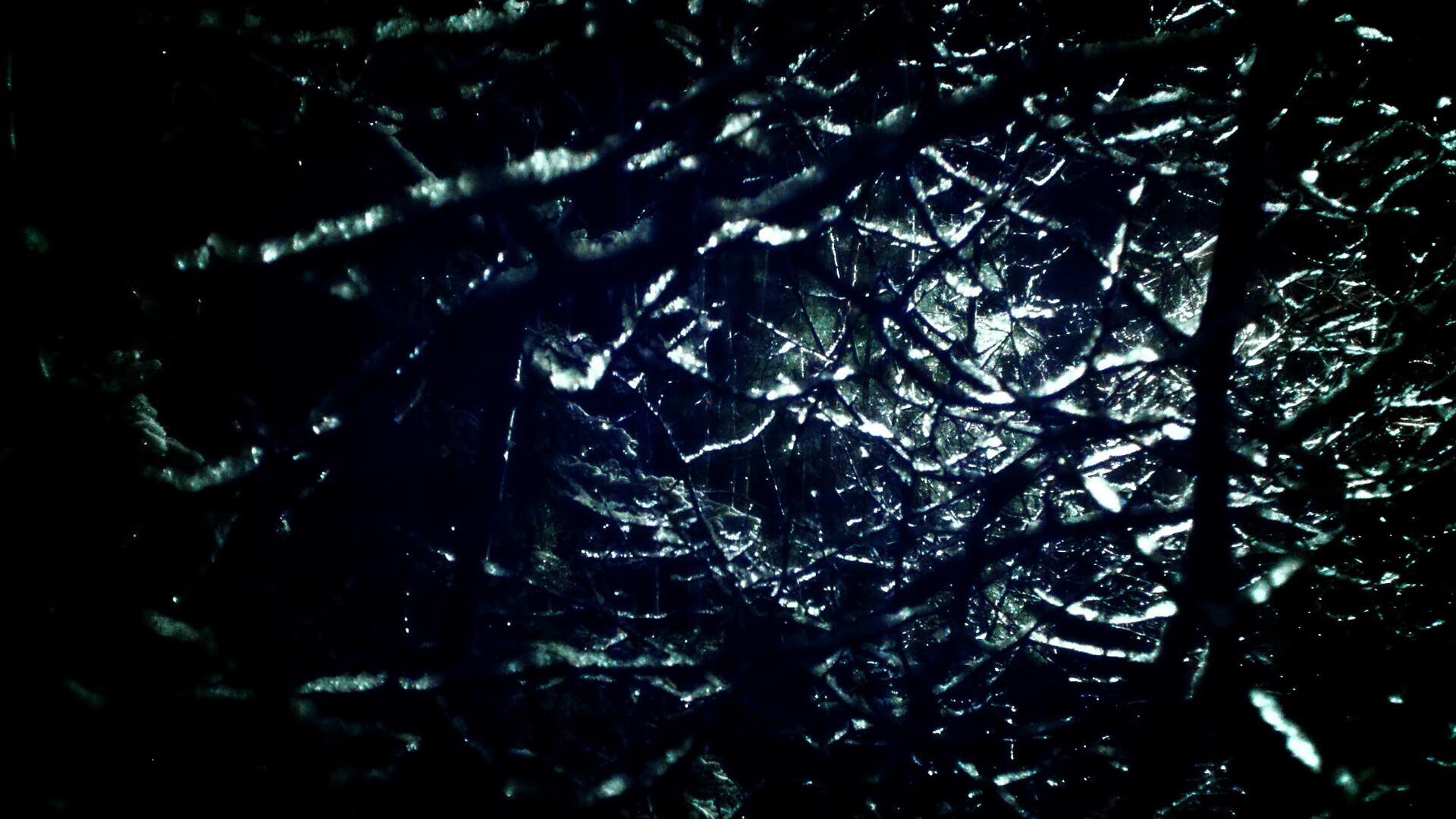 世俱杯时间-北京队横扫国王，西亚卡姆化身关键先生定乾坤