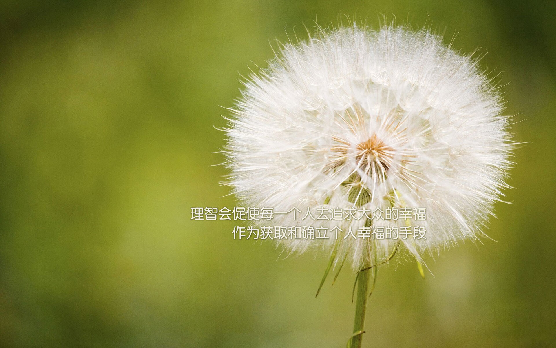 跨界锋芒，勇士铁壁击溃灰熊，绿茵场上拉文上演接管艺术