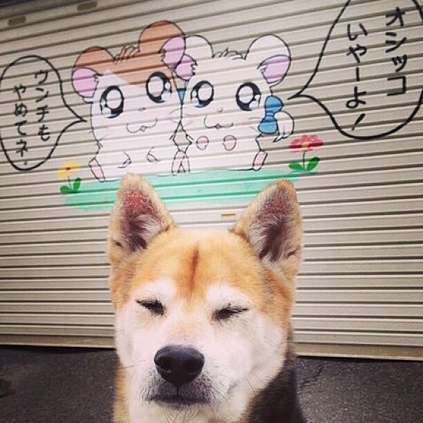 西决生死战之夜，霍勒迪的死亡缠绕让对手完全无解