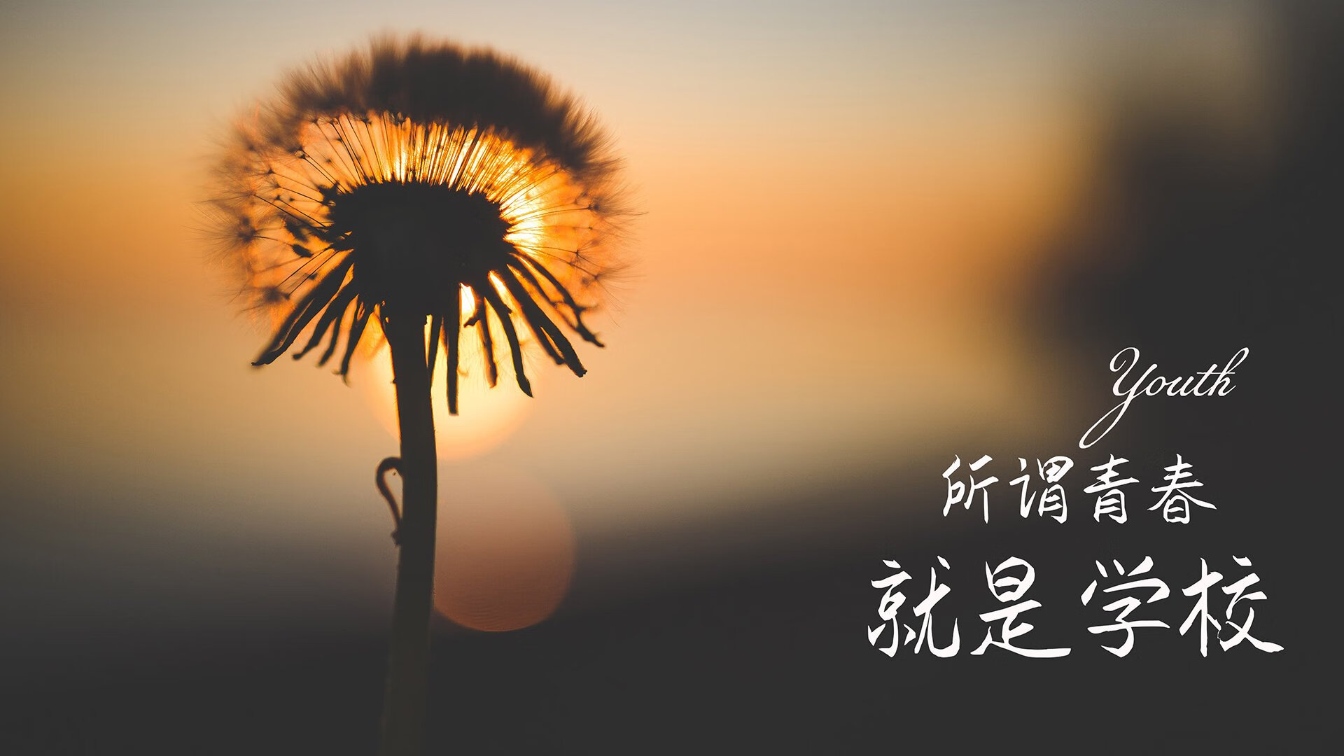 世俱杯改制-橙军折戟，莱万伤退无碍波兰力克荷兰；凯恩统领，替补奇兵掀翻死亡之组