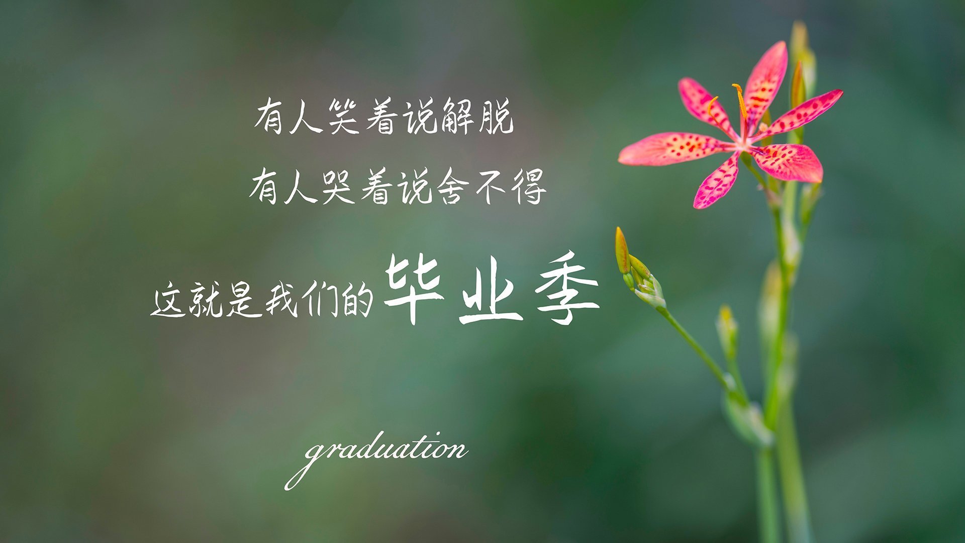 世俱杯分组-斗牛士的绝地反击，西班牙逆转乌拉圭，B费领衔2026世界杯F组惊天翻盘