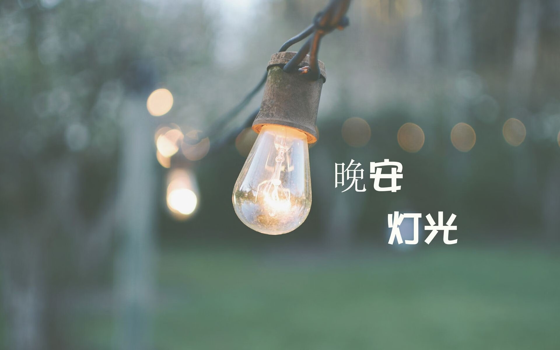 黑马狂飙,喀麦隆完胜丹麦,德容致命一击挺进2026世界杯决赛