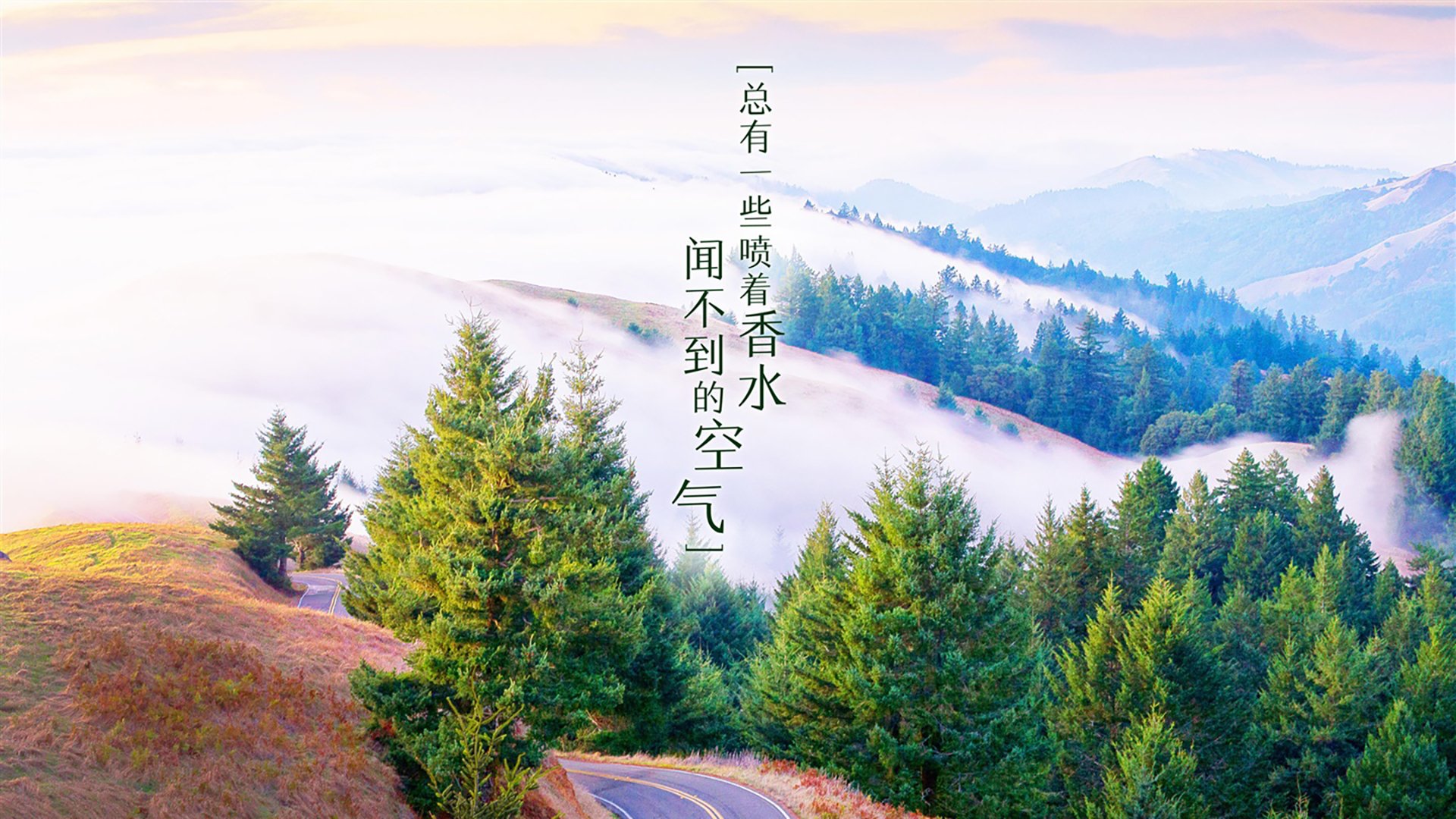 世俱杯决赛-费利克斯引领蓝白风暴,波兰防线在默契配合中崩塌—2026世界杯F组焦点战纪实